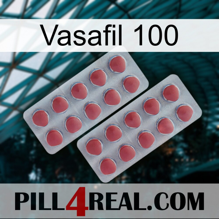 Vasafil 100 19